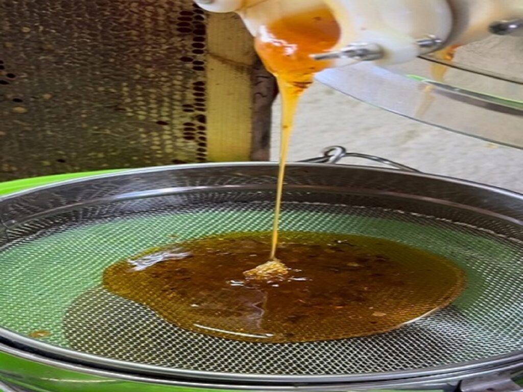 Test6